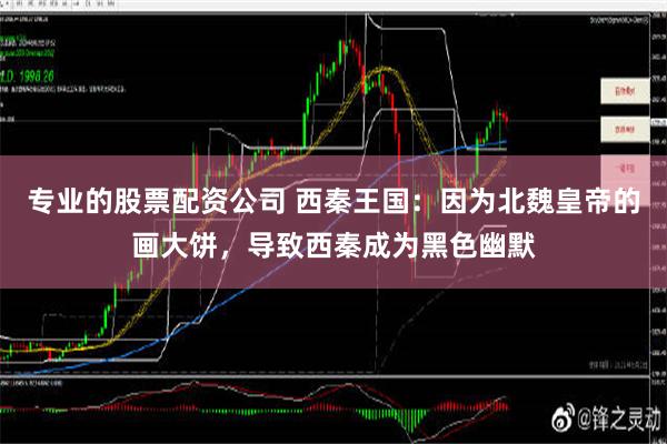 专业的股票配资公司 西秦王国：因为北魏皇帝的画大饼，导致西秦成为黑色幽默