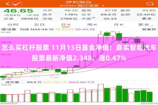 怎么买杠杆股票 11月13日基金净值：嘉实智能汽车股票最新净值2.348，涨0.47%