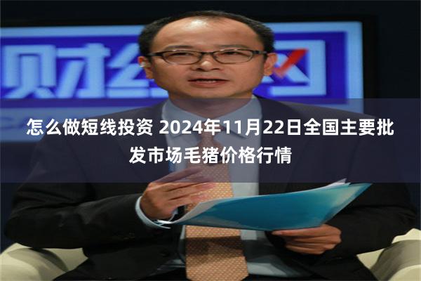 怎么做短线投资 2024年11月22日全国主要批发市场毛猪价格行情