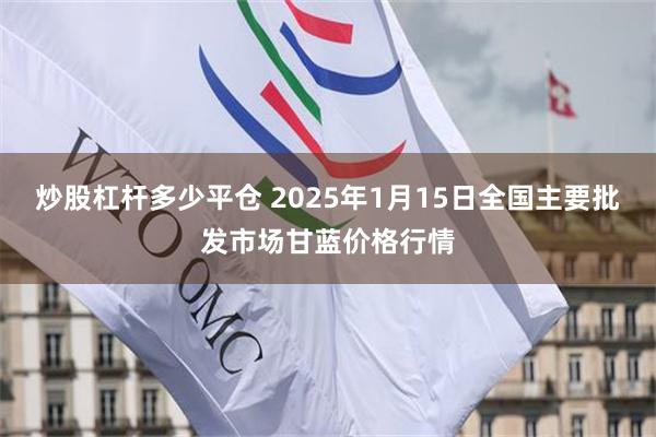 炒股杠杆多少平仓 2025年1月15日全国主要批发市场甘蓝价格行情